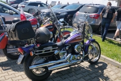 zdj42