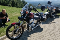 zdj46