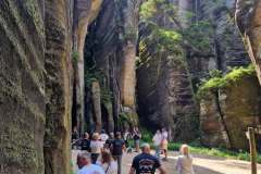 3f4c25a4-27a6-479b-b2ae-bb3298f75ab2