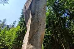 418c4f35-3b34-4891-98da-a62c7475fa79