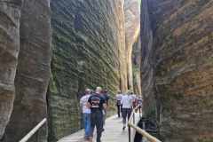 706ce554-9224-4a0d-9020-faf58fc51a81