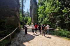 b8c1ee81-d0fb-4b96-b0f8-1d194278ebb4