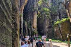 ed643c36-0992-441a-8b1d-551930af854f