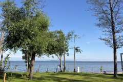 zdj17