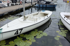 zdj24