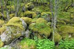 084f26b9-d54c-464c-8a05-4001c82a1498