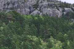 225fe36c-2788-46ac-acf8-d94bb95f952f