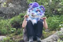 257e5d06-b187-494d-bcdb-2bcb560c3146