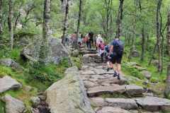 2c618f1f-2839-42de-9109-5db4939a6791