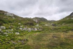 7848d4c5-5efc-4b97-9fb6-cc0292f104e0