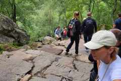 95411e4a-94e3-4323-8e83-363c31ed4880