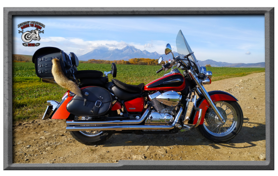 Honda Shadow 750VT  - 2006 rok