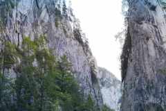 0dfef284-7840-42b2-ae42-c26361cc8f0e