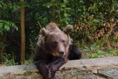 561ad21b-5ce0-4b2e-9bf6-f50bf076e582