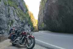 78305fc0-b6e6-4469-9ee0-691e6ea34aaa