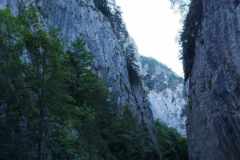 f36695cc-4579-4fbd-a156-811fd2e86eba