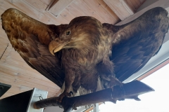 287921831_1227382078073956_4946356480919832404_n