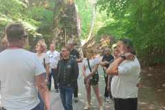 4c977e9c-b3e8-4650-b7fb-3f5ff4bf4f26