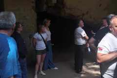 9dcd55d8-2712-482e-9889-8c11e291bd1e