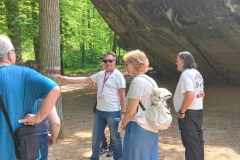 f8556cea-d8a9-4a6c-8331-e4448c4e9bbb