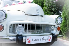 52d619e3-3f7a-4d48-b748-8f5ab9fd901b