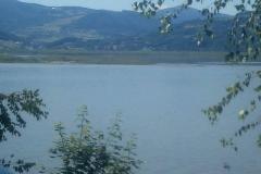 received_2320140571614972