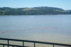 received_302151860977276