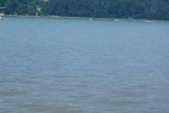 received_728690371215967