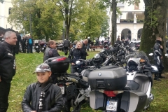 zdj54