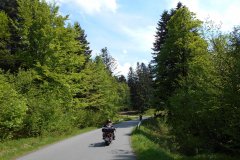 DSCN0545
