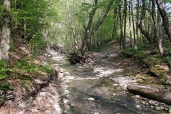IMG_20200510_160336